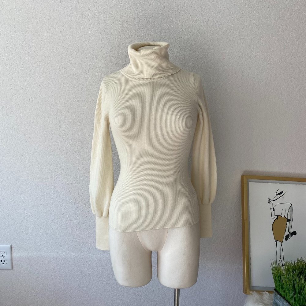 Aritzia Wilfred Women's Turtle neck top
